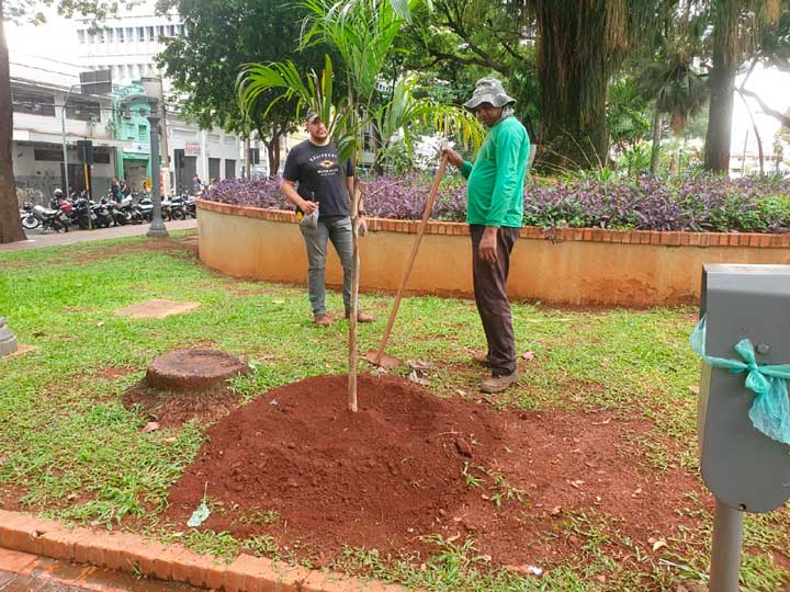 Meio Ambiente e ACIRP realizam plantio de árvores na Praça XV