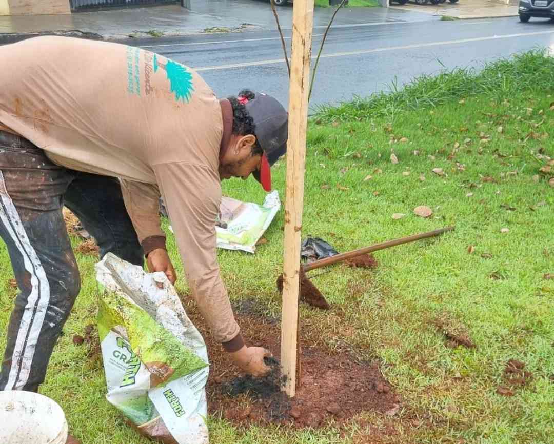 Distribuição acontece no sábado, dia 19, no estande da Prefeitura Municipal; aproximadamente seis mil mudas já foram doadas nesse ano