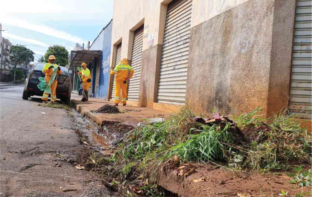 Entre os serviços, estão limpeza e roçada em toda extensão da Avenida Álvaro de Lima