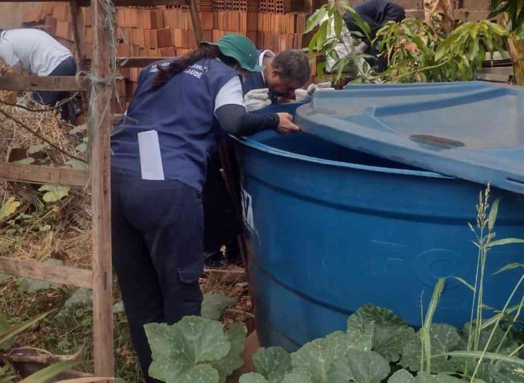 Foram visitados 2.902 imóveis nos bairros Jardim Maria Goretti, Vila Guiomar e Parque Ribeirão Preto