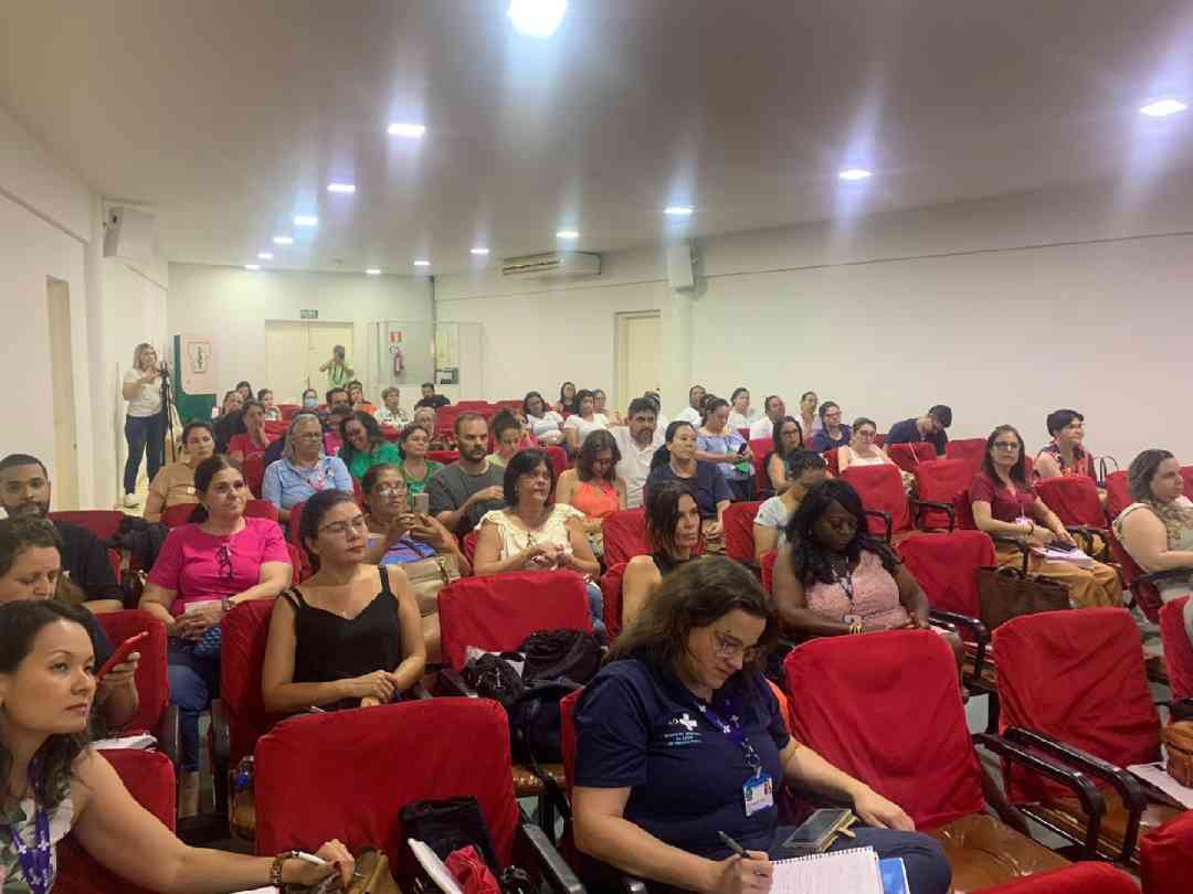 Conselho Municipal do Idoso realiza evento para informar e sensibilizar sociedade sobre necessidades e importância da proteção