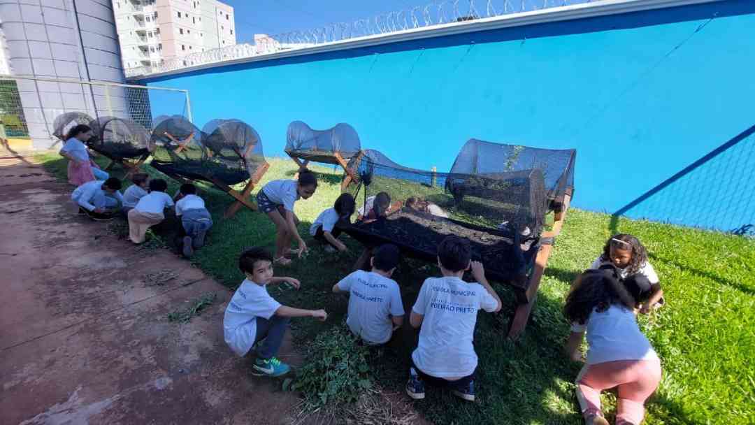 Produtos cultivados são usados em oficinas culinárias, no cardápio escolar e distribuídos às famílias dos alunos, colaborando com a segurança alimentar