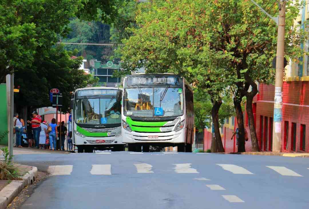 Dia de Finados terá linhas especiais de ônibus