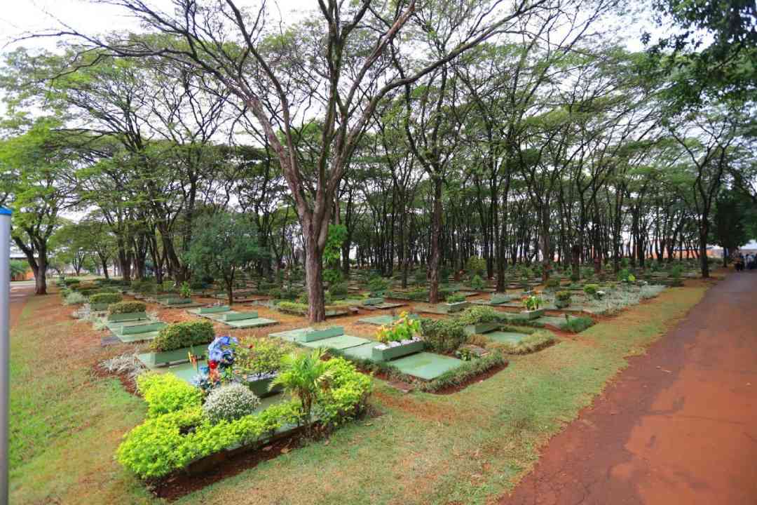 Mais de 50 mil pessoas são esperadas nos cemitérios municipais no Dia de Finados