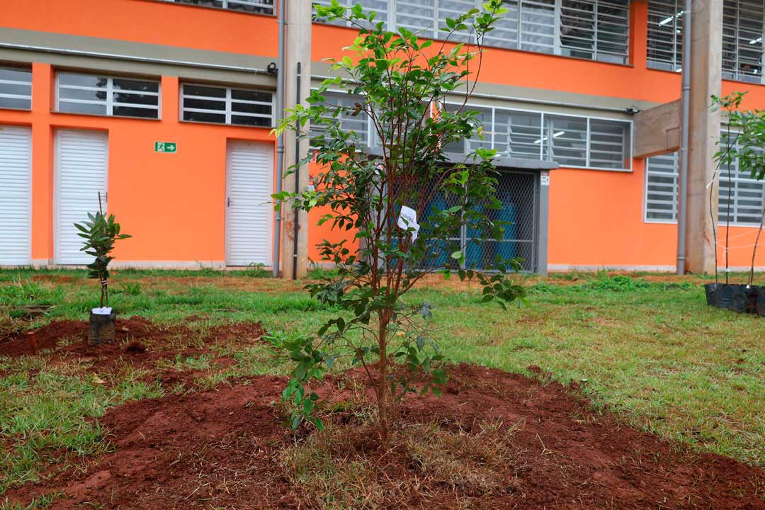 Alunos realizam plantio de árvores em nova unidade da EMEF Domingos Angerami