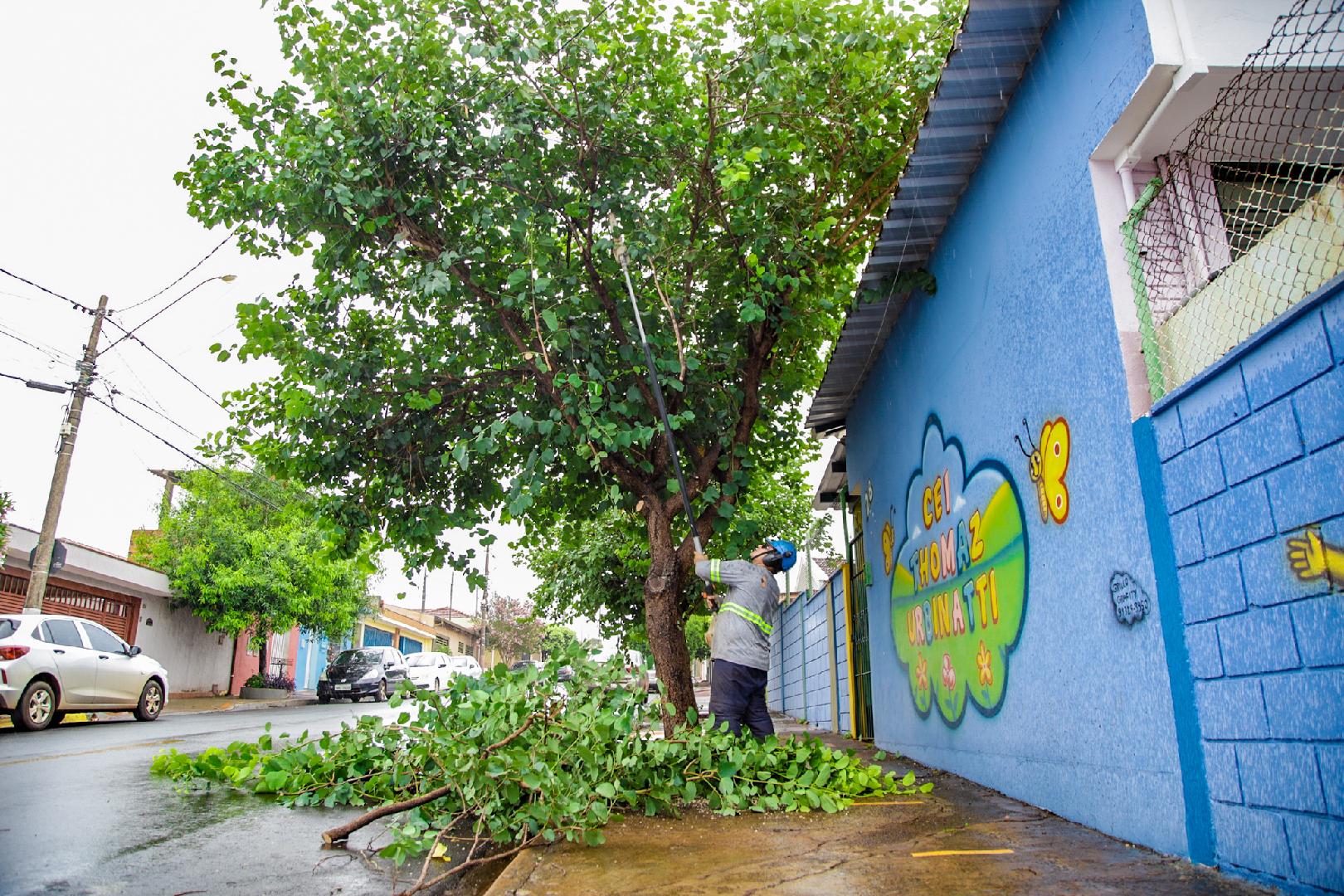 Meio Ambiente credencia podadores em Ribeirão Preto