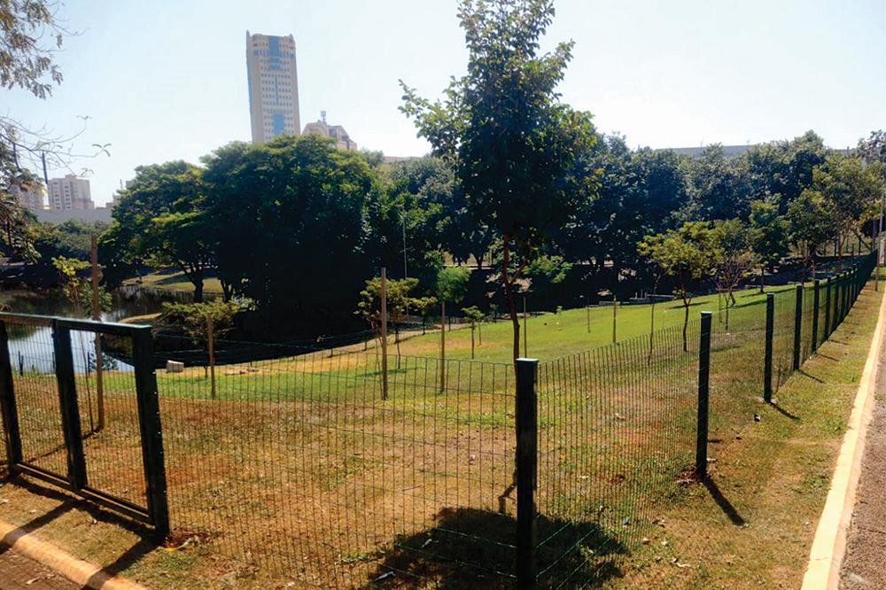 Parque das Artes é o primeiro local contemplado pelo “Dog Park”