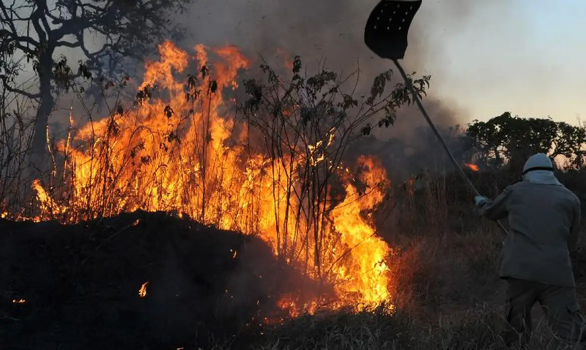 MPF aciona justiça para contratação de brigadistas contra incêndios