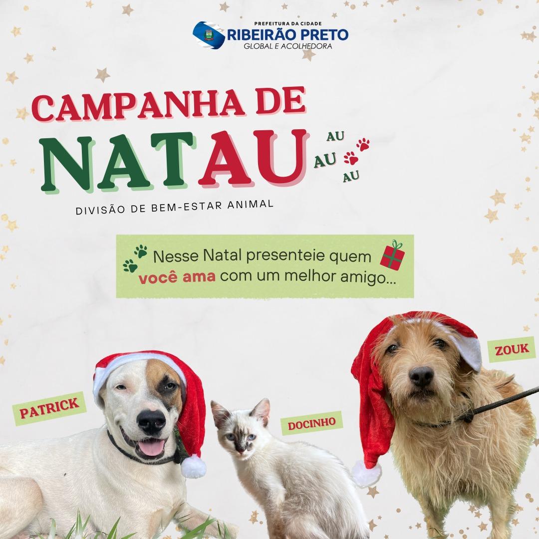 Ribeirão Preto tem mais de 150 cães e gatos disponíveis para adoção na “Campanha de NatAU” da DBEA