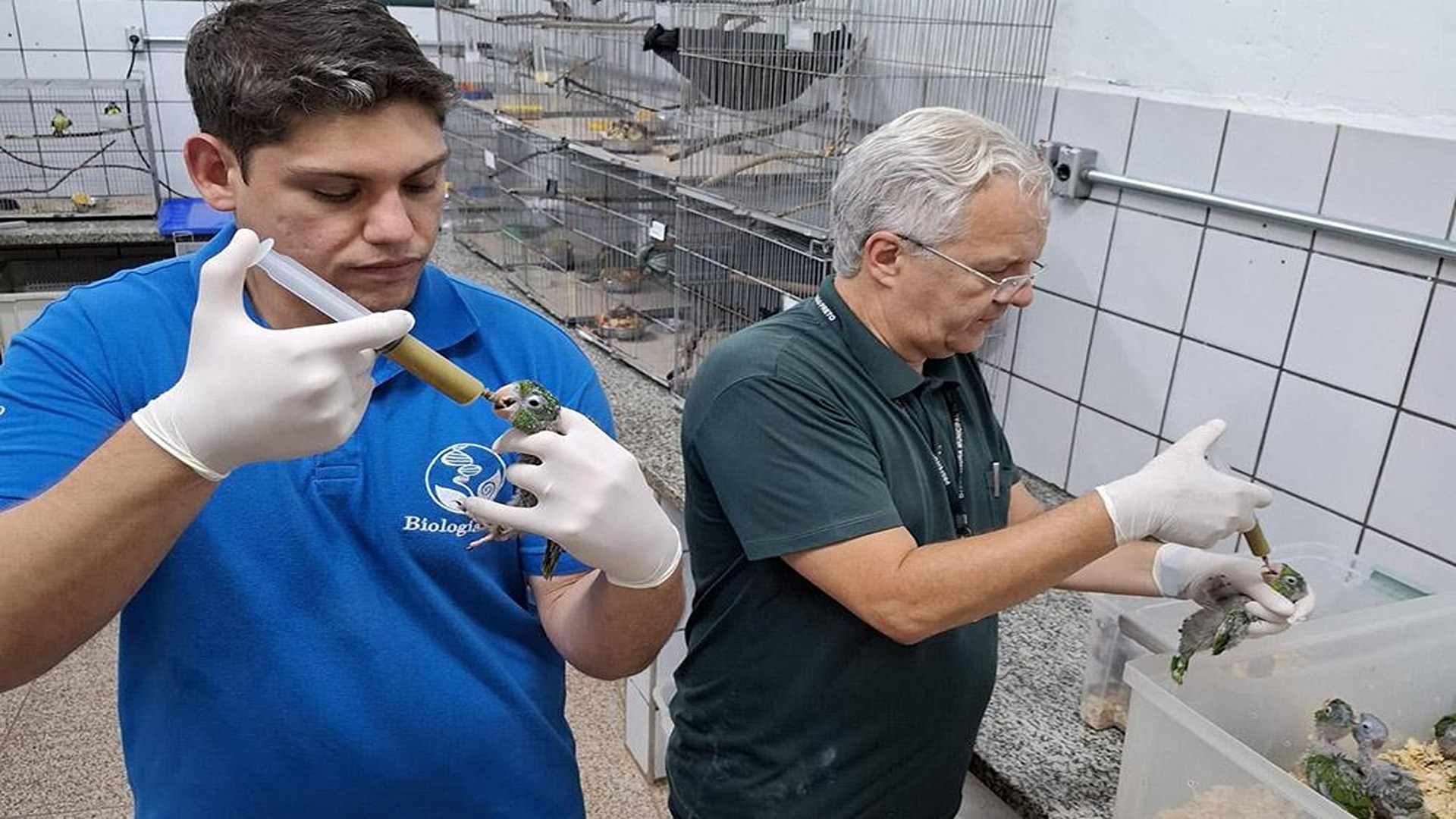 Cetras recebe mais de 30 animais vitimados de São Carlos