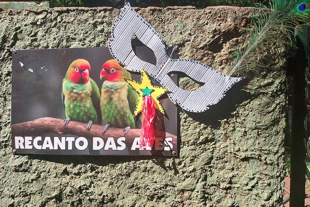 Carnaval dos bichos: Bosque Zoo Dr. Fábio Barreto promove atividades para os animais