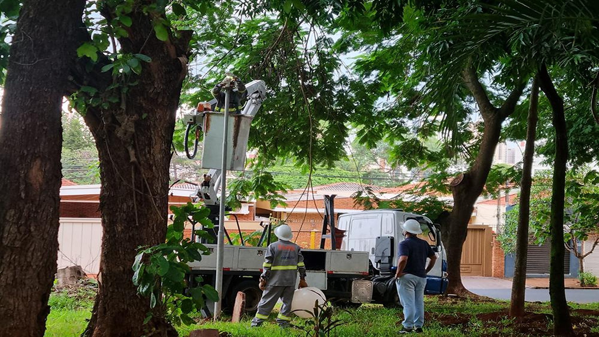 Conecta regulariza manutenções atrasadas em postes de iluminação pública